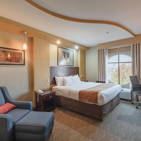 Comfort Suites Perrysburg - Toledo South Εξωτερικό φωτογραφία